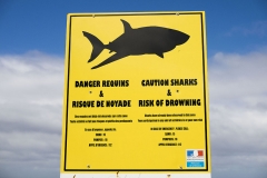 Shark sign