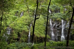 Waterfalls of Reunion