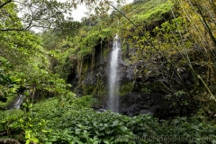Waterfalls of Reunion