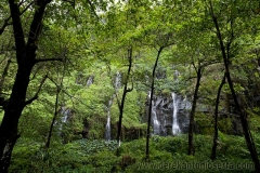 Waterfalls of Reunion